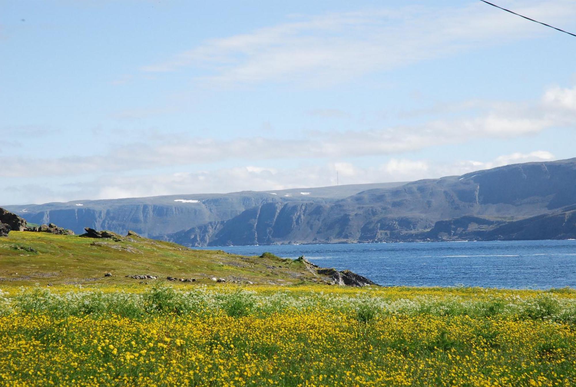 Kongsfjord Holiday Home Extérieur photo